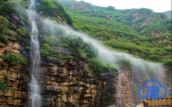 人工饲养繁殖东北虎，逐步实现“放虎归山”